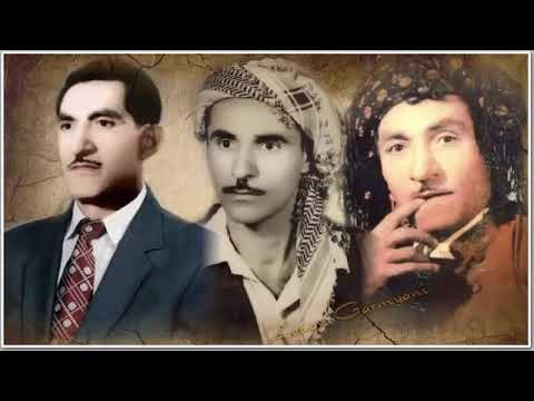 Kurdish Music /  Hasan Zirak - Remix / Shad