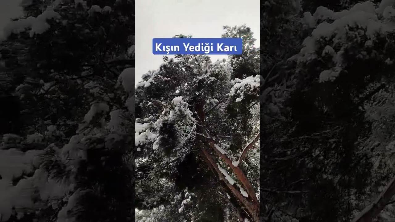 Kurt Yediği Ayazı Unutmaz Komik Hali