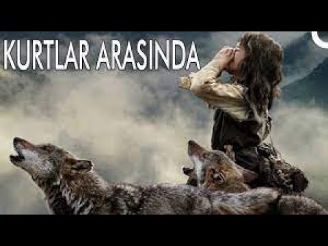 Kurtlar Arasında   Türkçe Dublaj Yabancı Dram Filmi   Full Film İzle