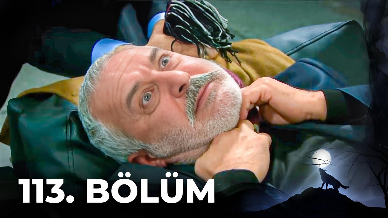 Kurtlar Vadisi Pusu - 113. Bölüm FULL HD