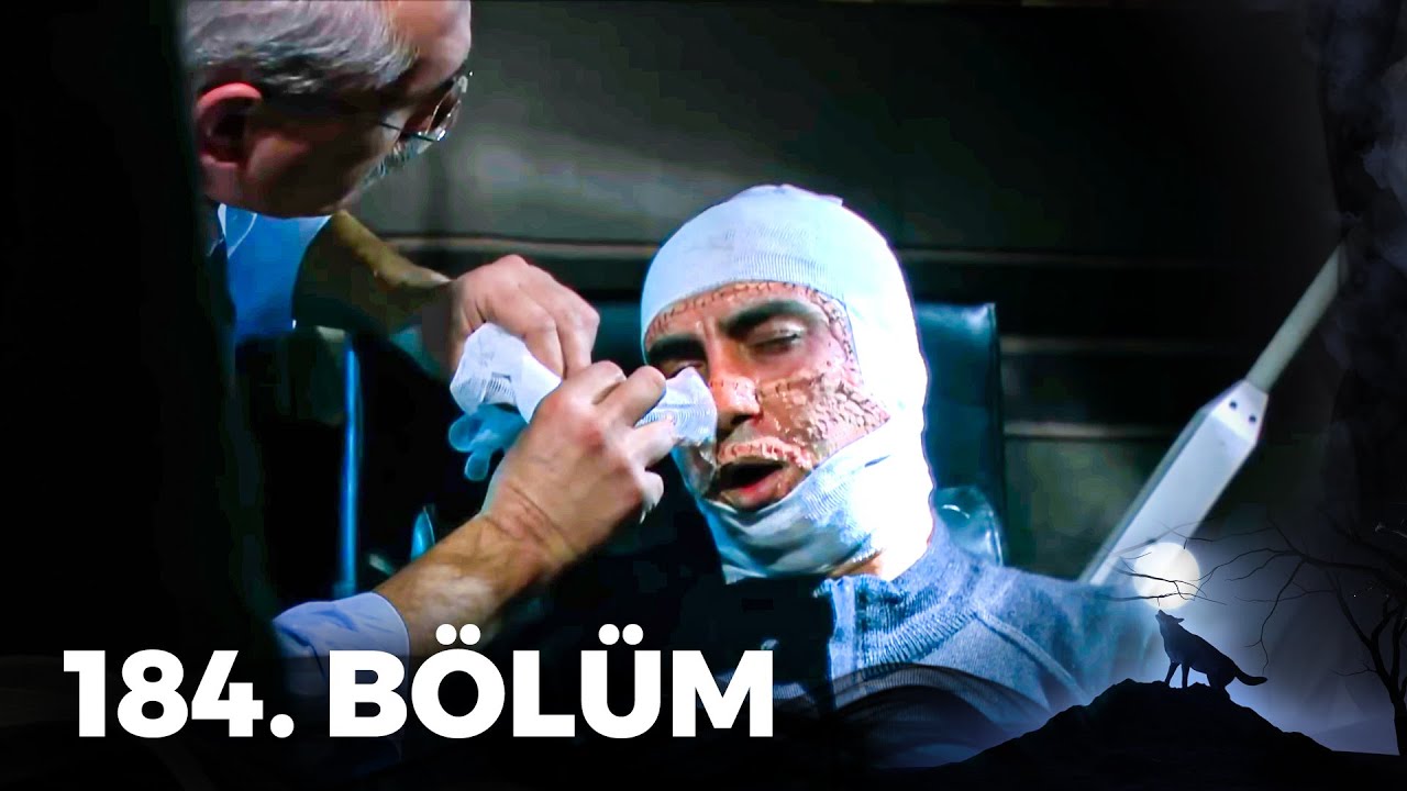 Kurtlar Vadisi Pusu - 184. Bölüm FULL HD