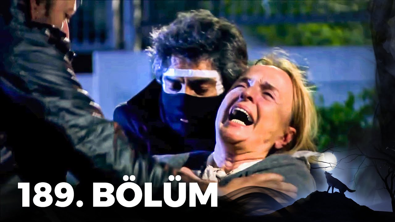 Kurtlar Vadisi Pusu - 189. Bölüm FULL HD