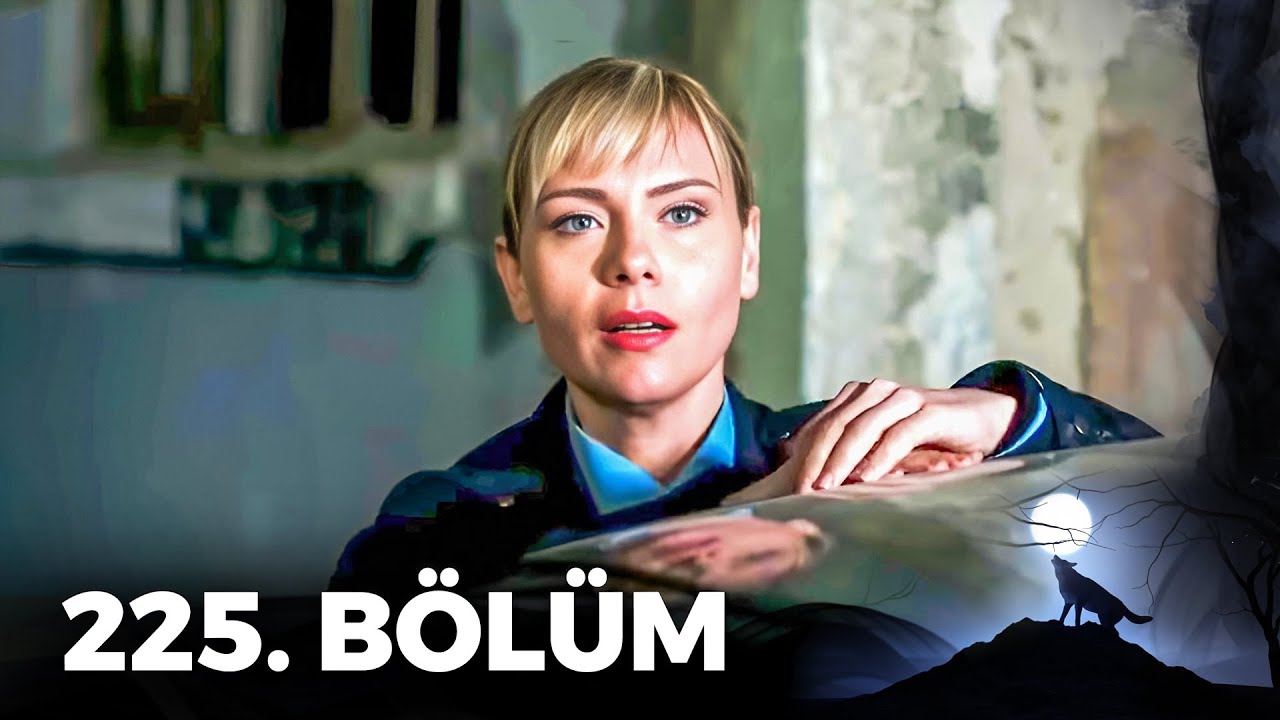 Kurtlar Vadisi Pusu - 225. Bölüm FULL HD