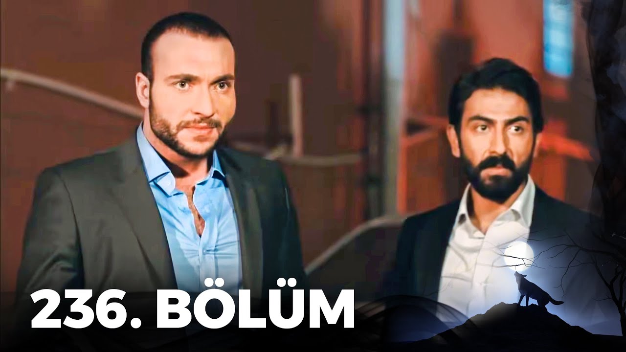 Kurtlar Vadisi Pusu - 236. Bölüm FULL HD