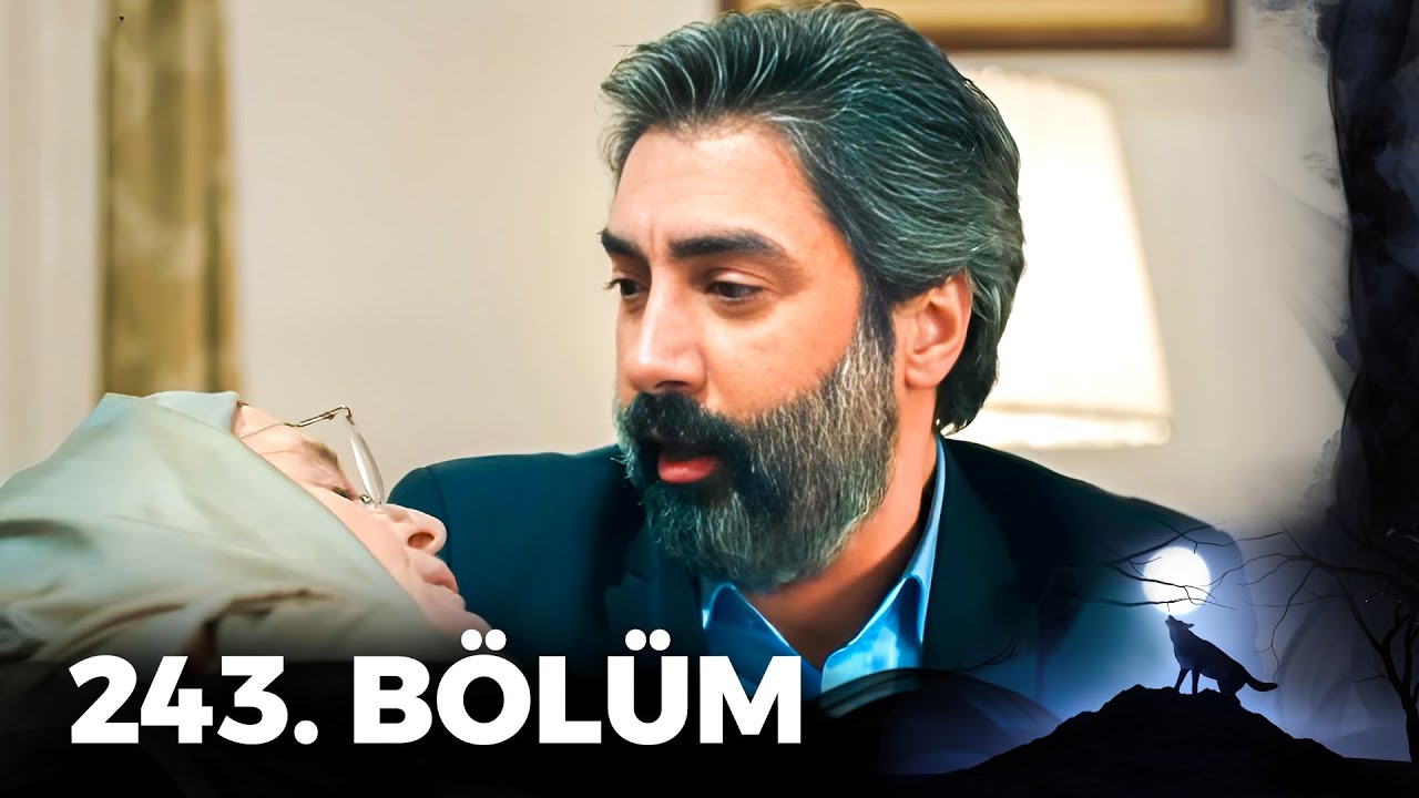 Kurtlar Vadisi Pusu - 243. Bölüm FULL HD