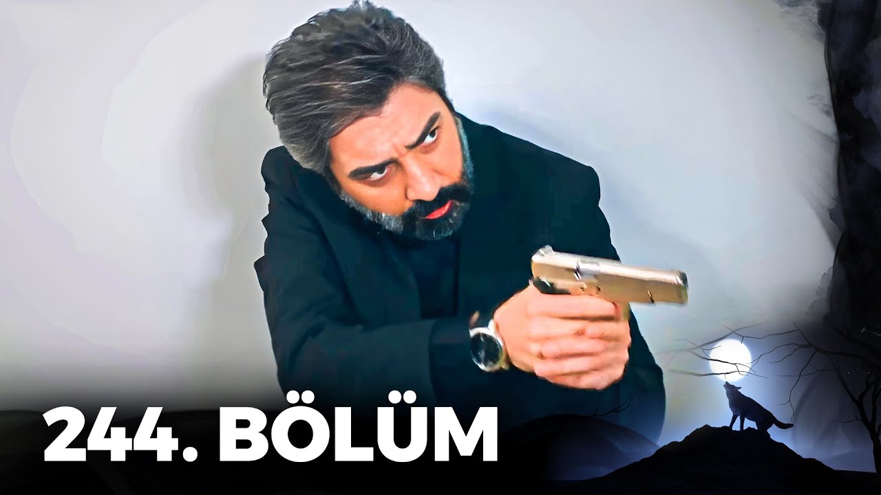 Kurtlar Vadisi Pusu - 244. Bölüm FULL HD