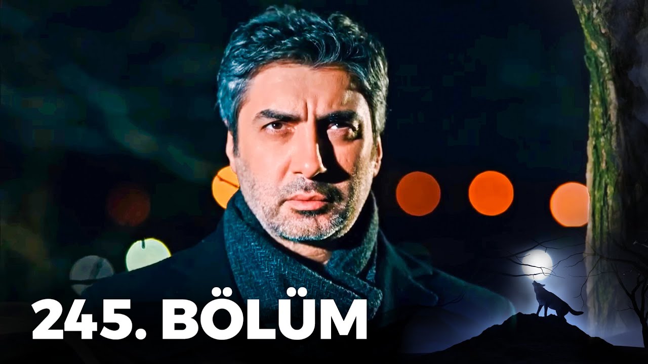 Kurtlar Vadisi Pusu - 245. Bölüm FULL HD