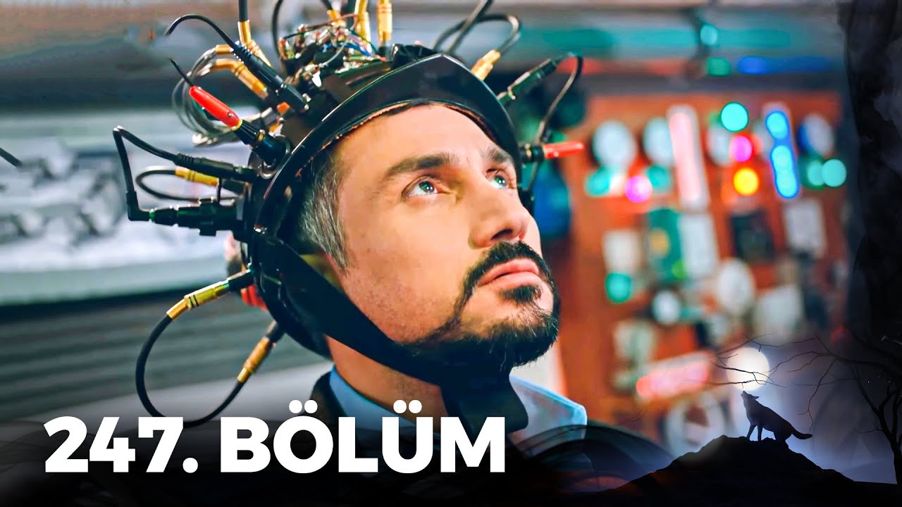 Kurtlar Vadisi Pusu - 247. Bölüm FULL HD