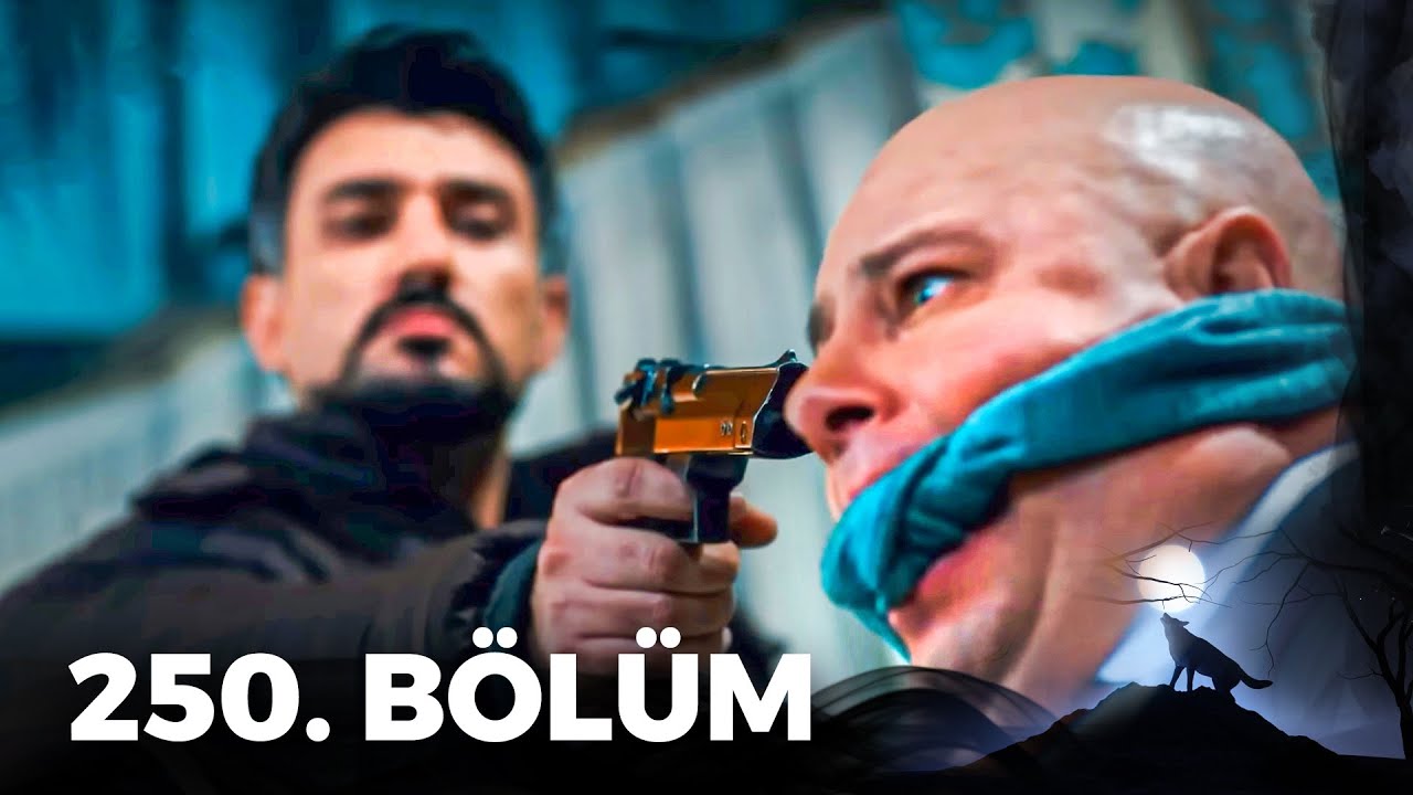 Kurtlar Vadisi Pusu - 250. Bölüm FULL HD