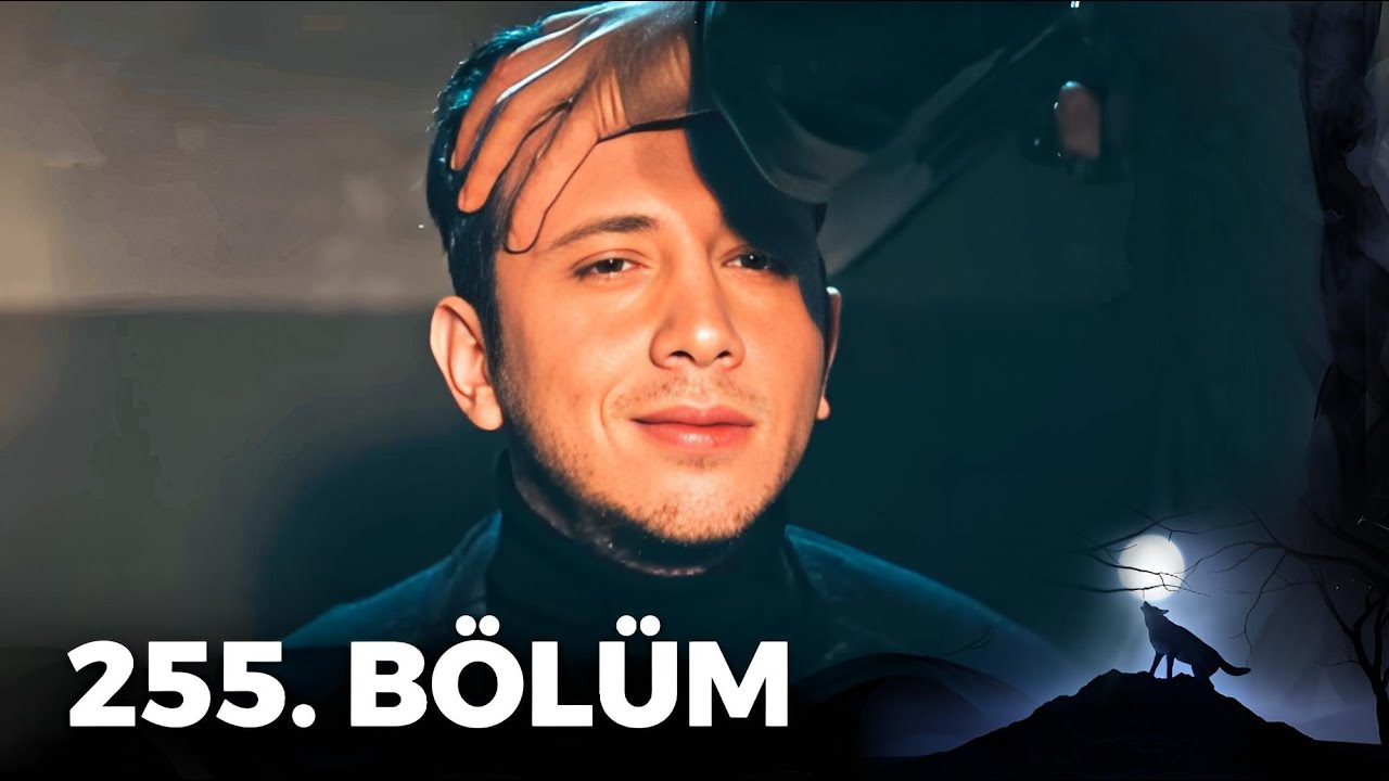 Kurtlar Vadisi Pusu - 255. Bölüm FULL HD