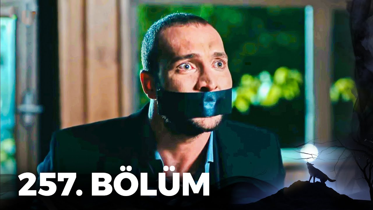 Kurtlar Vadisi Pusu - 257. Bölüm FULL HD