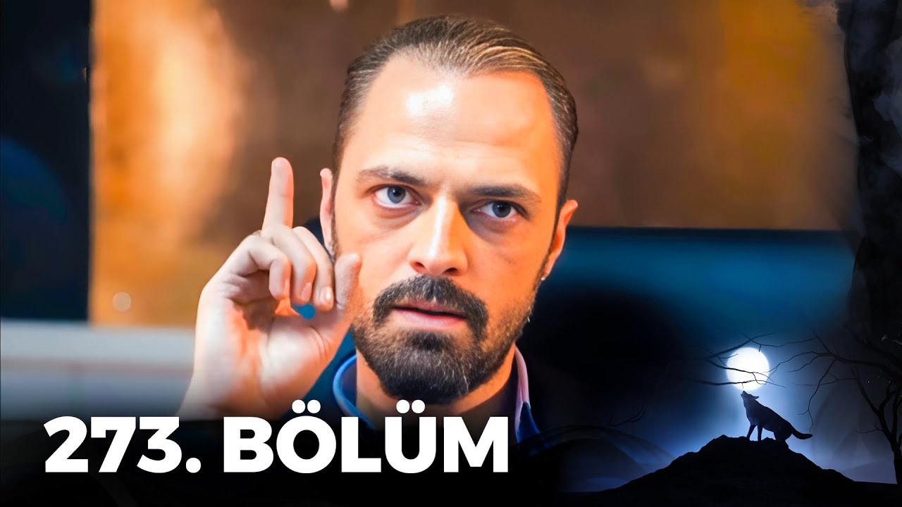 Kurtlar Vadisi Pusu - 273. Bölüm FULL HD