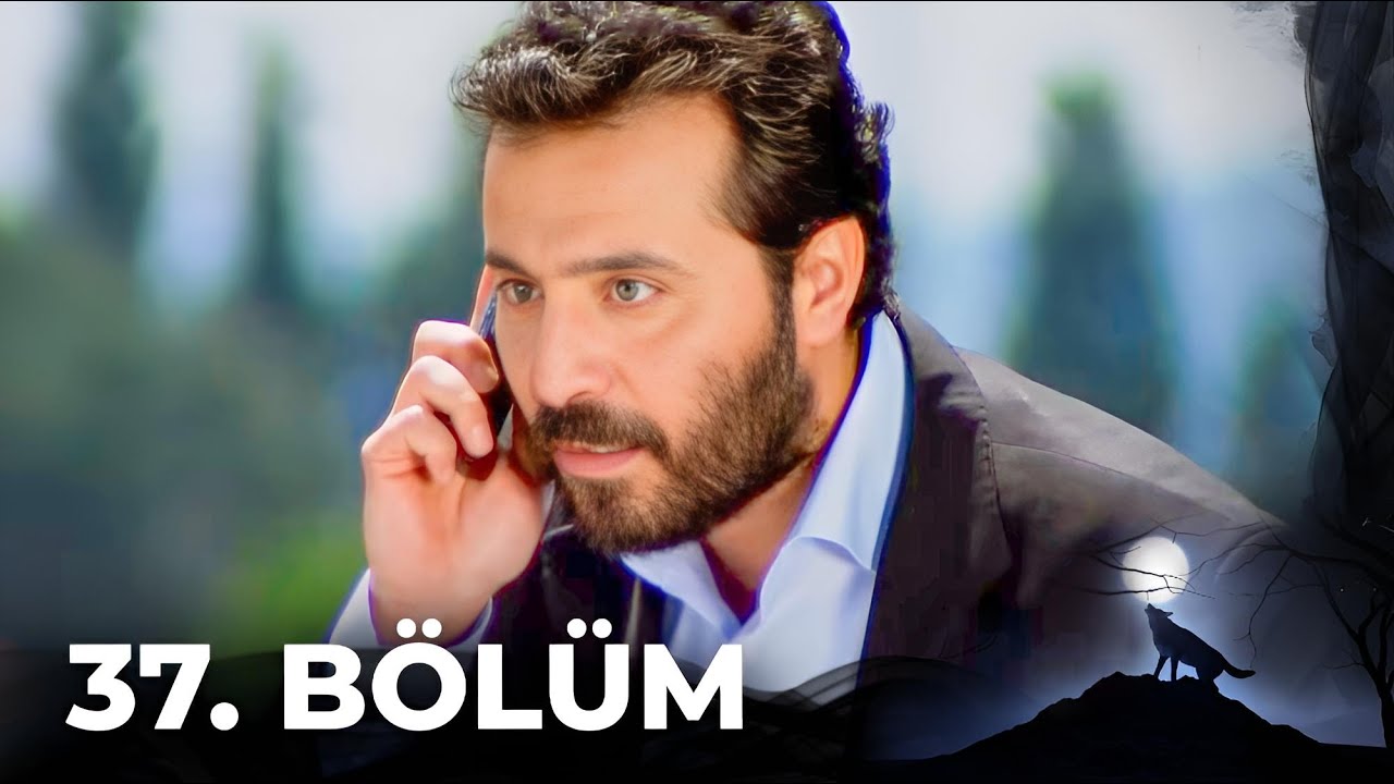 Kurtlar Vadisi Pusu - 37. Bölüm FULL HD