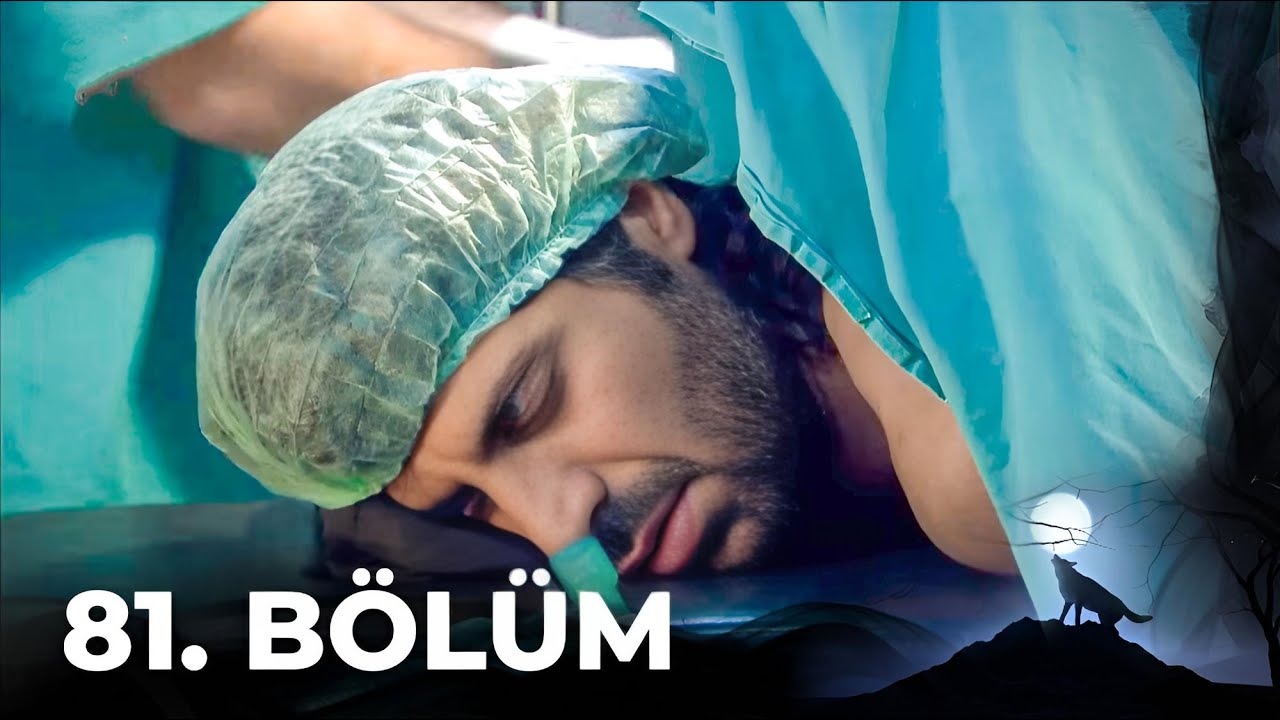 Kurtlar Vadisi Pusu - 81. Bölüm FULL HD