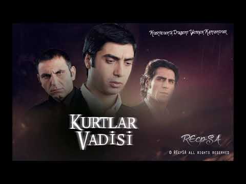 Kurtlar Vadisi Pusu Vol 1