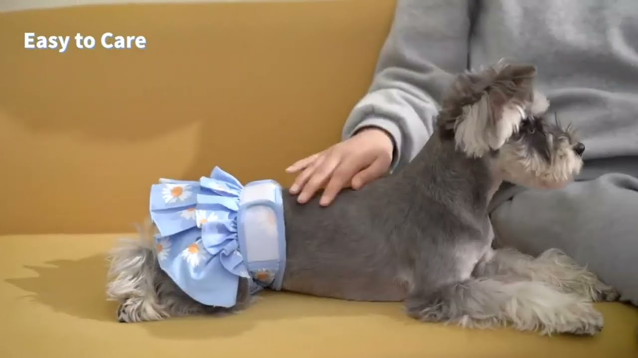 KUTKUT Female Dog Diapers: Adjustable, Washable, and Stylish for Dogs in Heat and More!