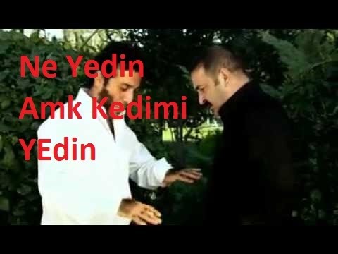 Kutsal Damacana 2 Ne Yedin Amk Kedimi Yedin
