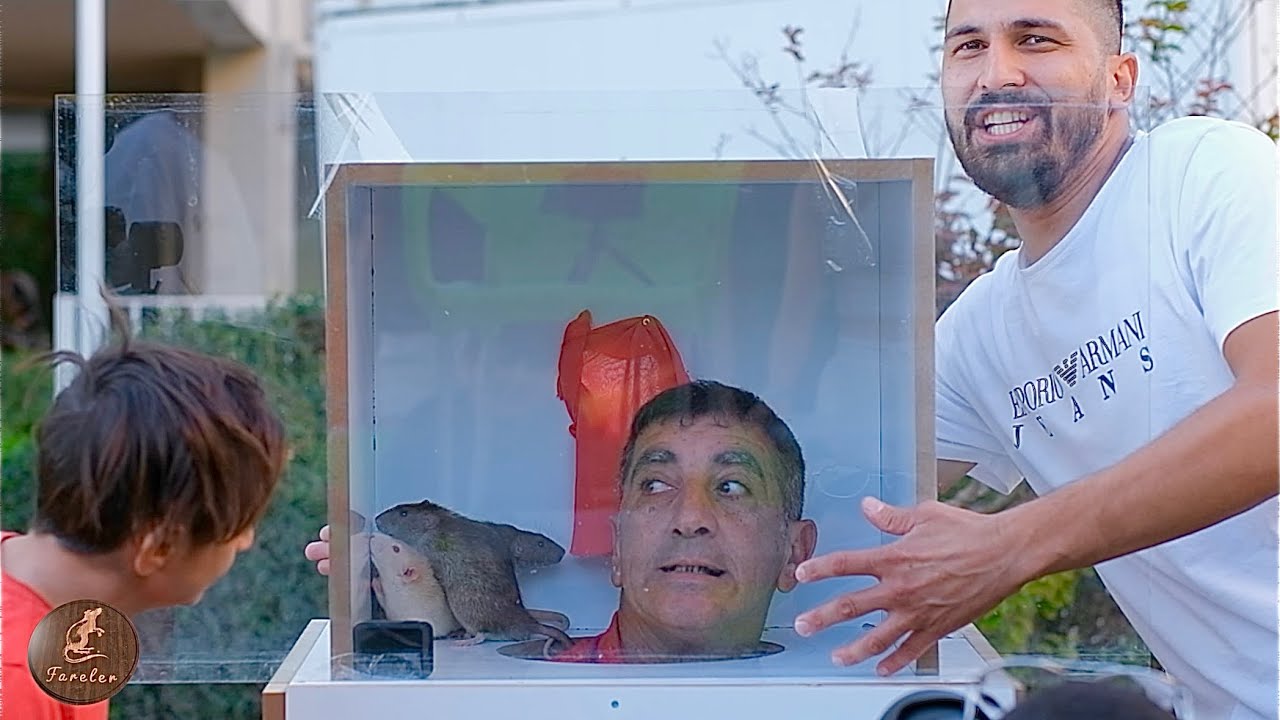 Kutuda Ne Var? Bilemeyen Kafasını Sokar