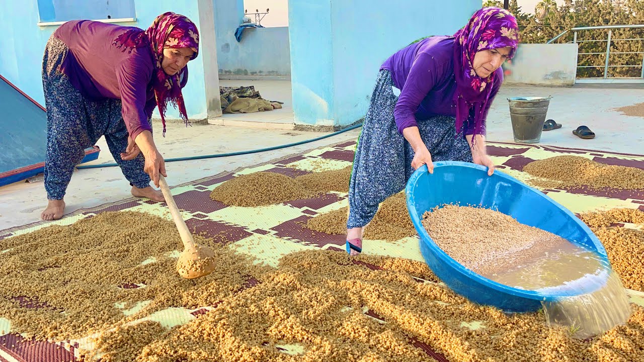 KÖY HAYATI İLK BUĞDAY HASADI \ LEZZETLİ KÖY YEMEKLERİ İÇİN HAZIRLIK