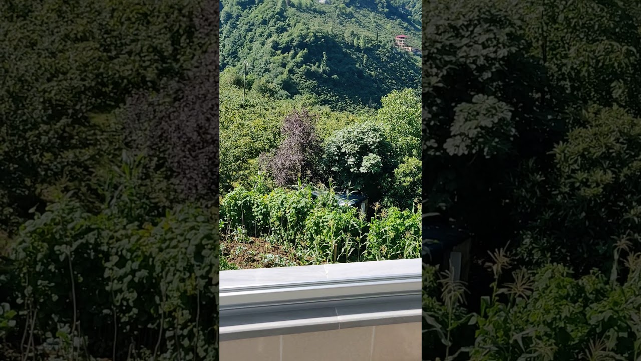 Köyde Sabah Kahvaltısı