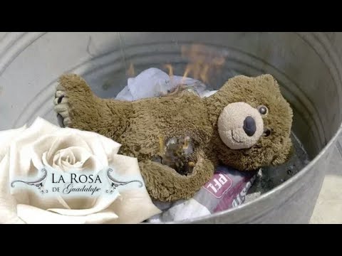La Rosa de guadalup: Aventura De Una Noche Parte 1
