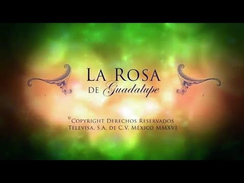 la rosa de Guadalupe 
