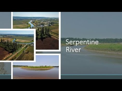 LAB 4 SERPENTINE RIVER