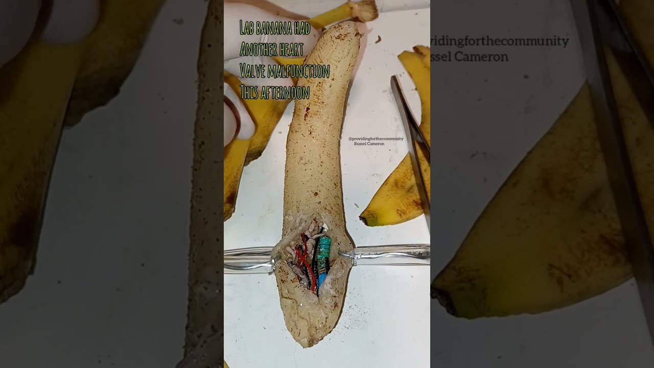 lab banana is not well.