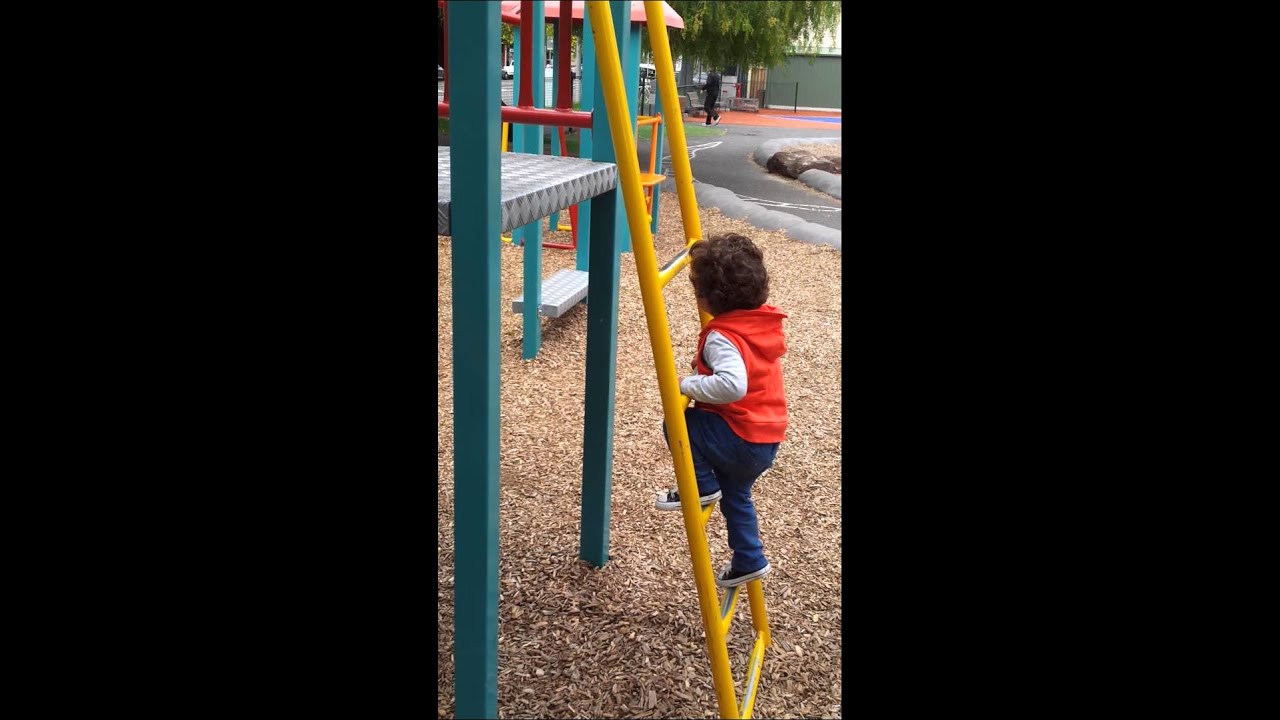 Ladder, swing, slide