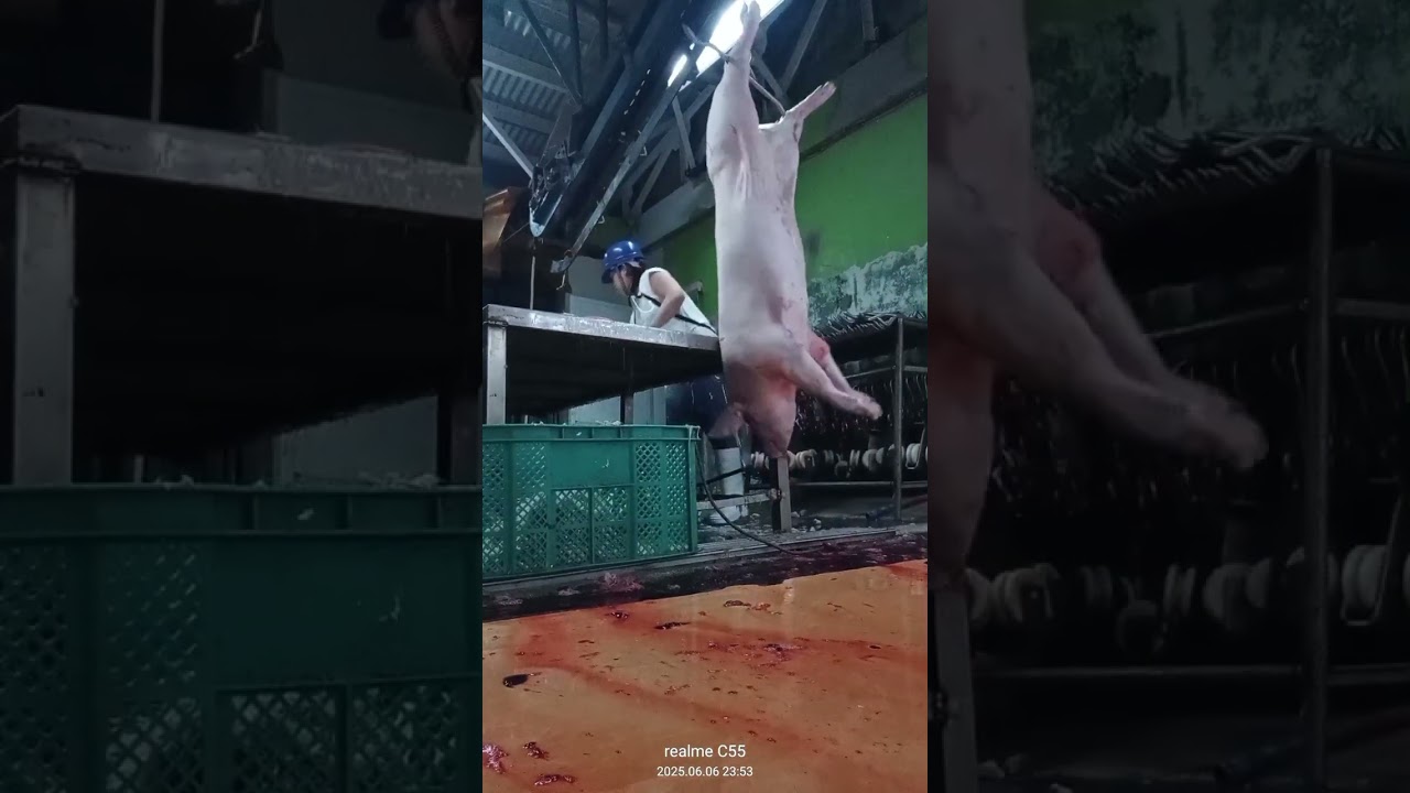 LadY bUtcher