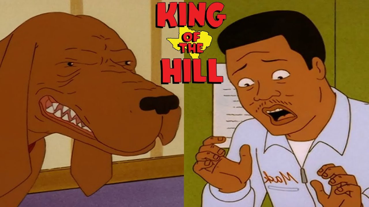 Ladybird RACIST?  |  King of the Hill