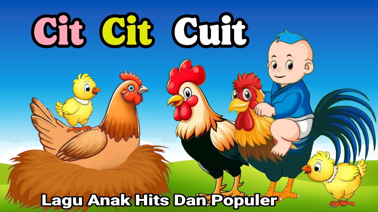 Lagu Anak Anak - Cit Cit Cuit - Aniasi Burung Ayam Bebek Lucu - Lagu Anak Populer