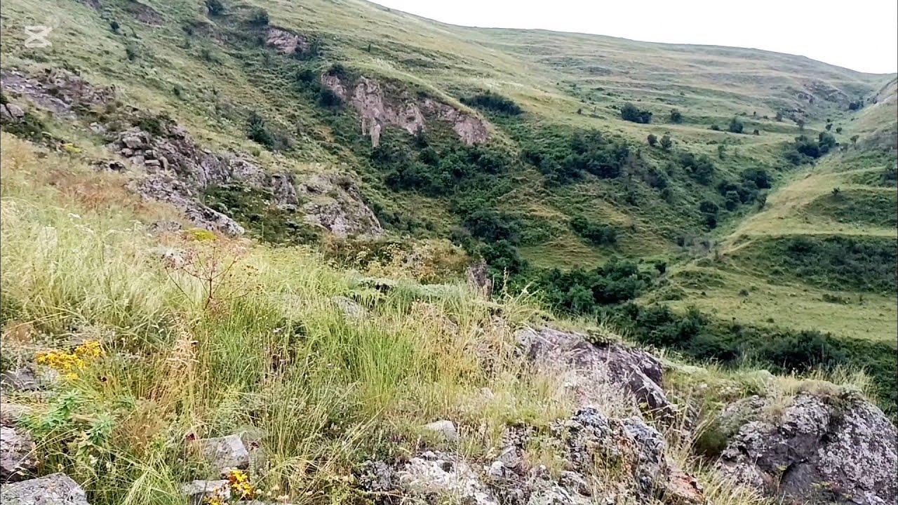 Laçın rayonu Mirik kəndindən həkimlərə salam. Sazda Səyyaf Kəlbəcərli
