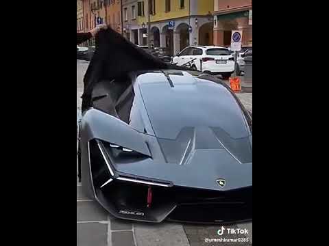 Lanborzini