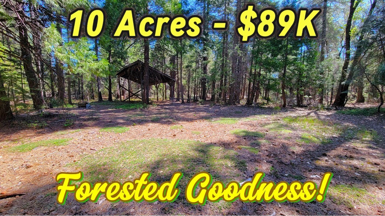 Land Acreage For Sale In California - Seller Carry, Forested Goodness
