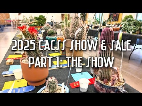 Largest Cactus & Succulent Show in Phoenix, Arizona | 2025 CACSS Show & Sale (Part 1)