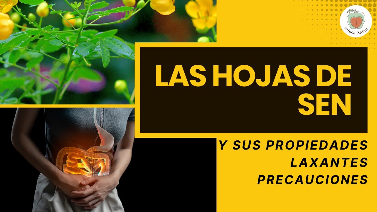 Las HOJAS DE SEN Para Qué Sirven: PRECAUCIONES