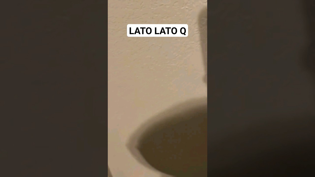 LATO LATO KIMOCHI BERLIAN