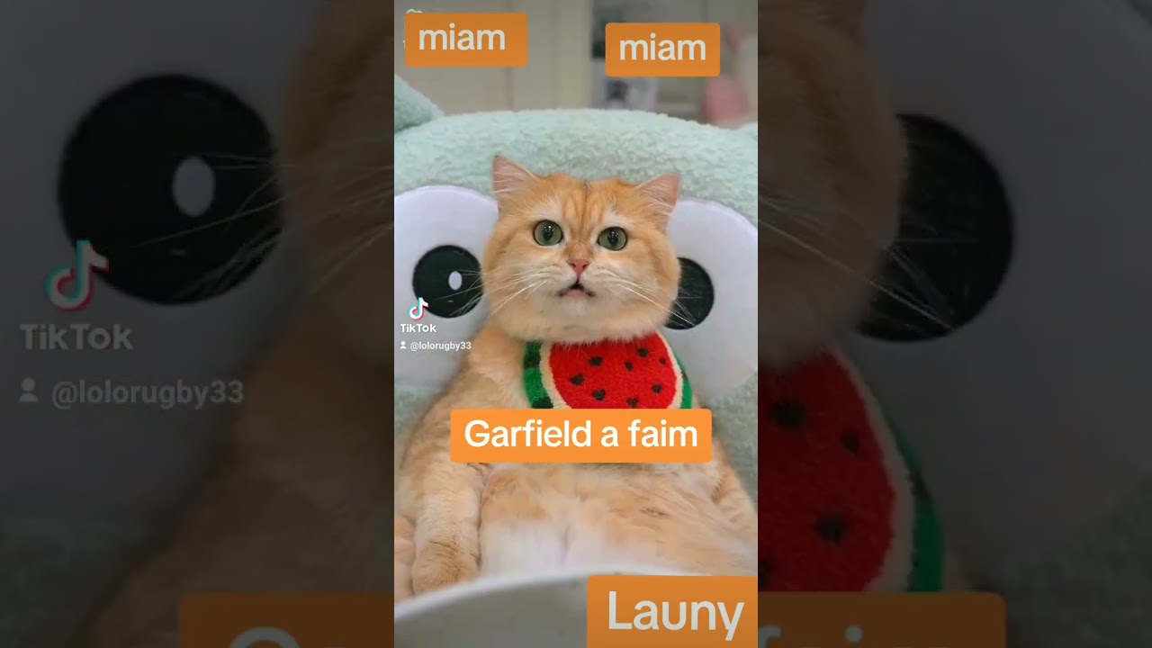 Launy Garfield a faim