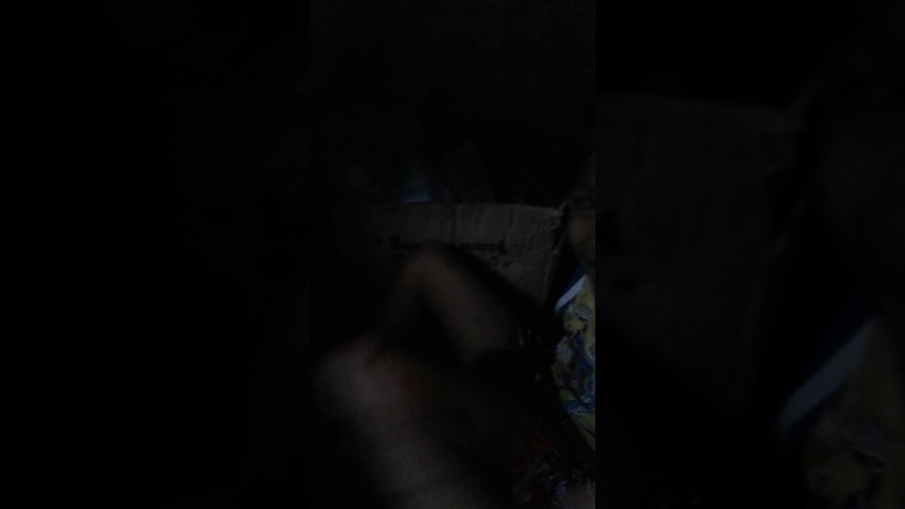 Lawak budak takut pepatung