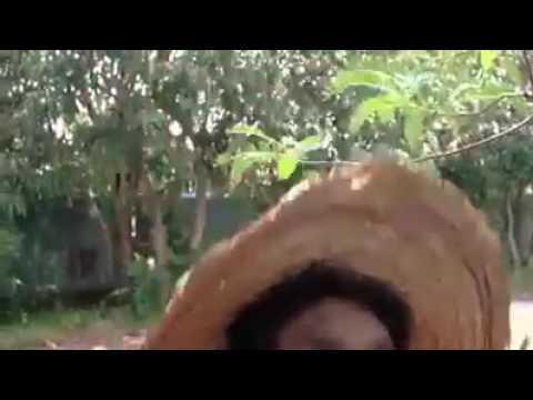 Lawak meriam buloh