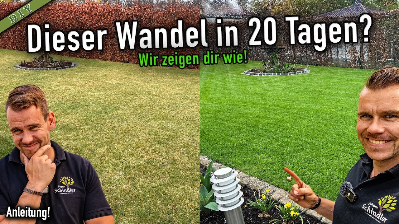 Lawn care in spring | Amazing results after just 20 days | Relatively little effort [Instructions]