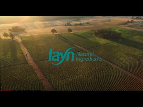 Layn Corporate Video