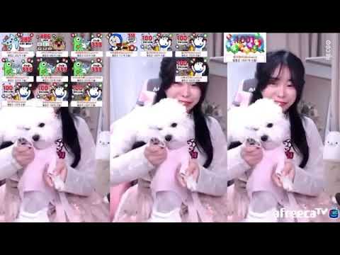 LAYSHA레이샤AfreecaTV