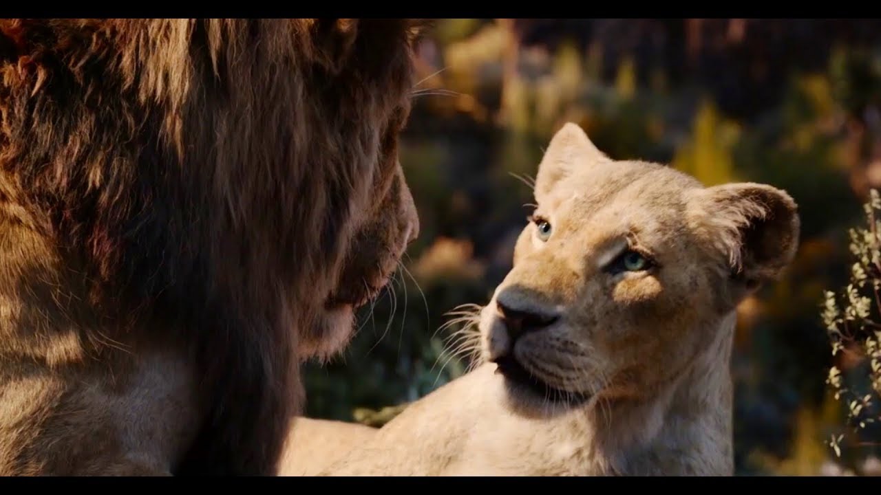 Le Roi Lion - L'amour brille sous les étoiles | Musique Film + Image Dessin Animé (2019-1994) FR