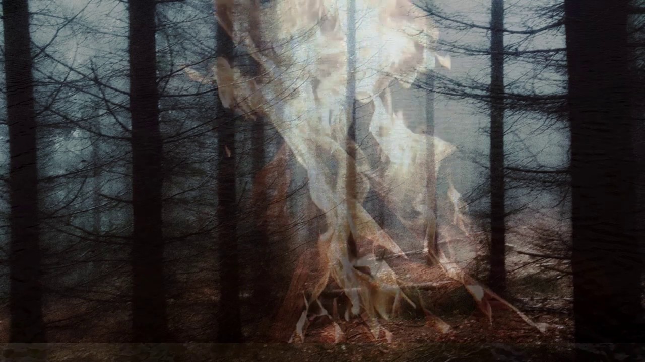 Leafblade - She Moved by the River