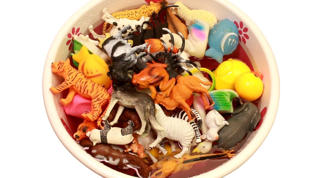 Learn  Zoo and Sea Animal Names Educational Toys