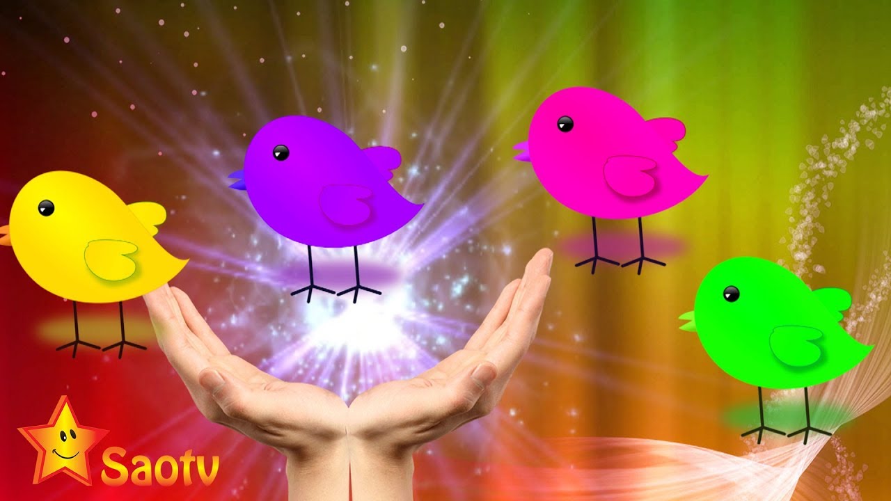 Learn Colors for Children with Chicken   SaoTV   Finger Family Songs