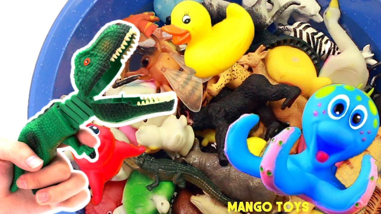 Learn Sea Animals Names and Wild Zoo Animals Names
