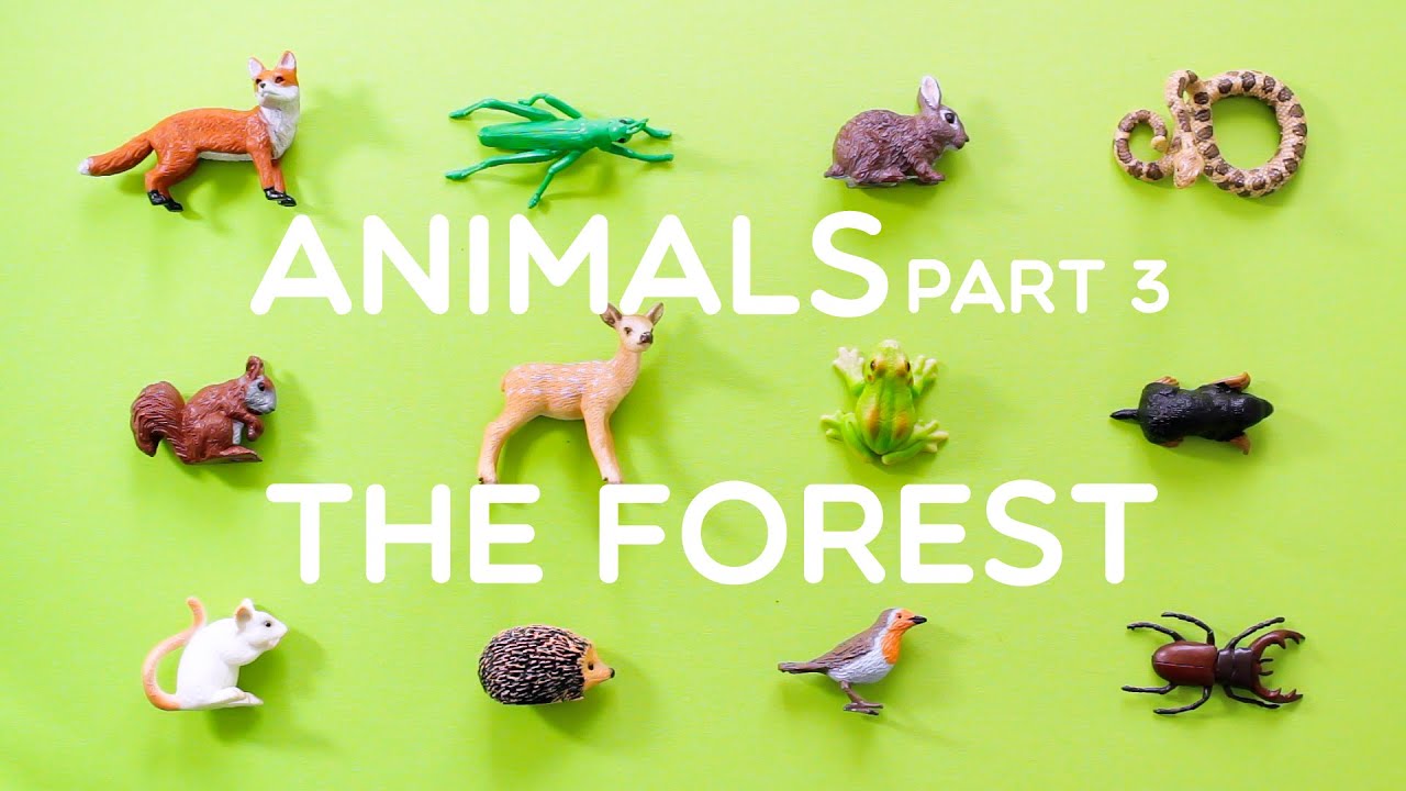Learning Animals Names and Sounds for Kids - Part 3: The Forest